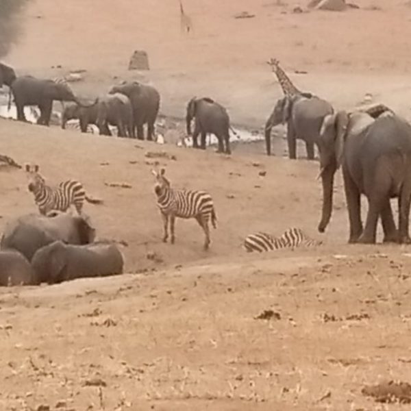 WhatsApp Image 2025-12-12 at 10.50.56 PM